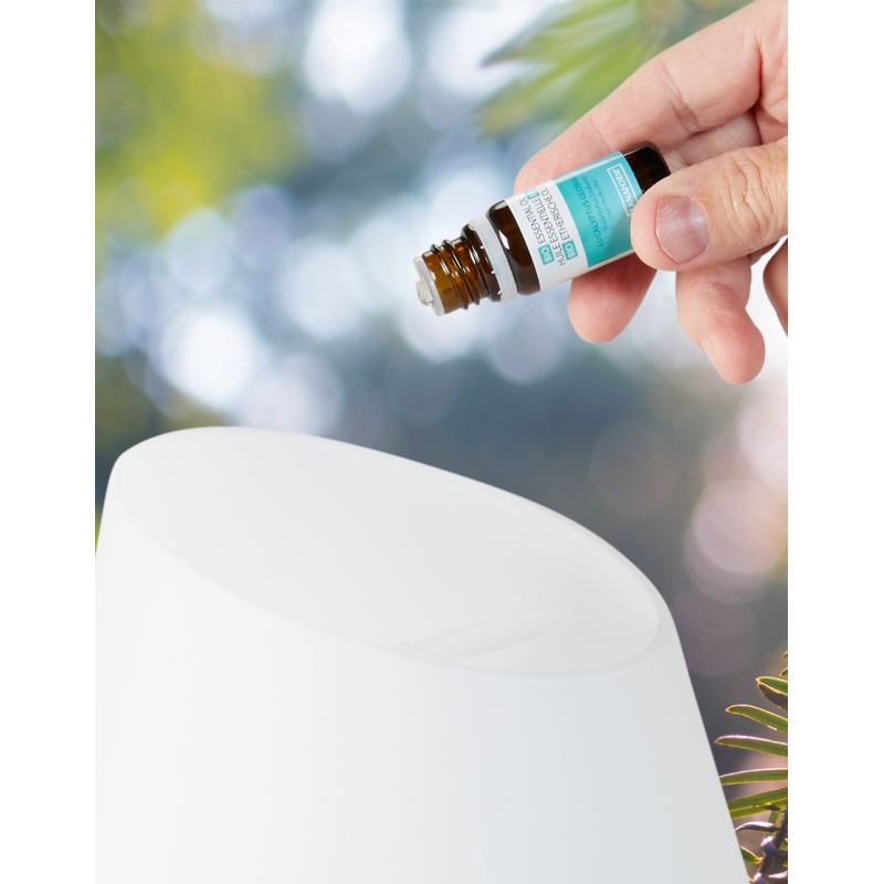 Aroma difuzor Lanaform Borneo